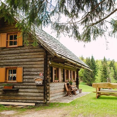 Wood House Irena-Pocitniska Hisa Bohinj Exterior foto